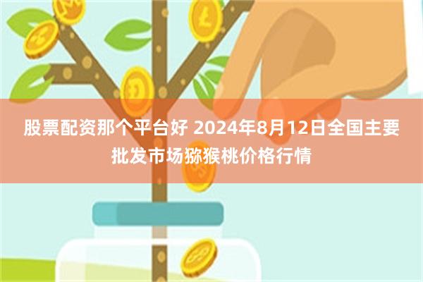 股票配资那个平台好 2024年8月12日全国主要批发市场猕猴桃价格行情