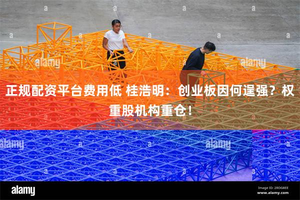 正规配资平台费用低 桂浩明：创业板因何逞强？权重股机构重仓！