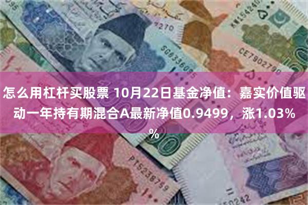 怎么用杠杆买股票 10月22日基金净值：嘉实价值驱动一年持有期混合A最新净值0.9499，涨1.03%