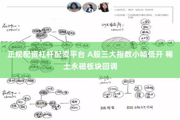 正规配资杠杆配资平台 A股三大指数小幅低开 稀土永磁板块回调