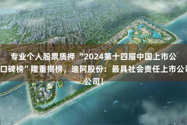 专业个人股票质押 “2024第十四届中国上市公司口碑榜”隆重揭榜，迪阿股份：最具社会责任上市公司！