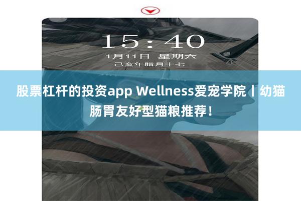 股票杠杆的投资app Wellness爱宠学院丨幼猫肠胃友好型猫粮推荐！