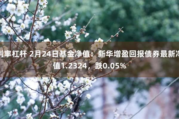 利率杠杆 2月24日基金净值：新华增盈回报债券最新净值1.2324，跌0.05%