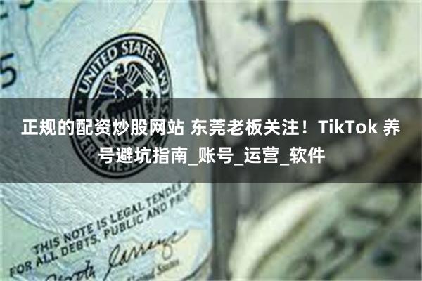 正规的配资炒股网站 东莞老板关注！TikTok 养号避坑指南_账号_运营_软件
